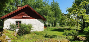 Urlaub vom Elektrosmog - Skogstorpet, Waldhäuschen, Moholm